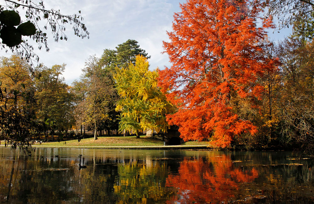 couleurs d'automne au parc de la Bouzaise