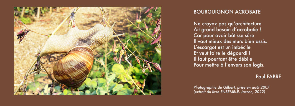 escargot acrobatee