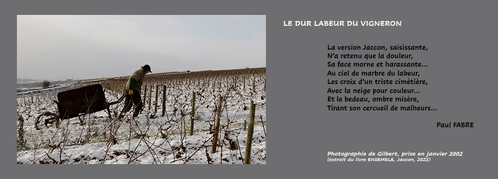 le dur labeur du Vigneron
